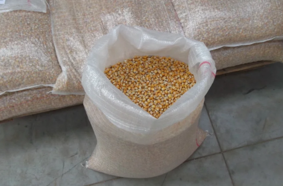 Gemalen en niet gemalen mais kopen Heikruis, Vlaams-Brabant